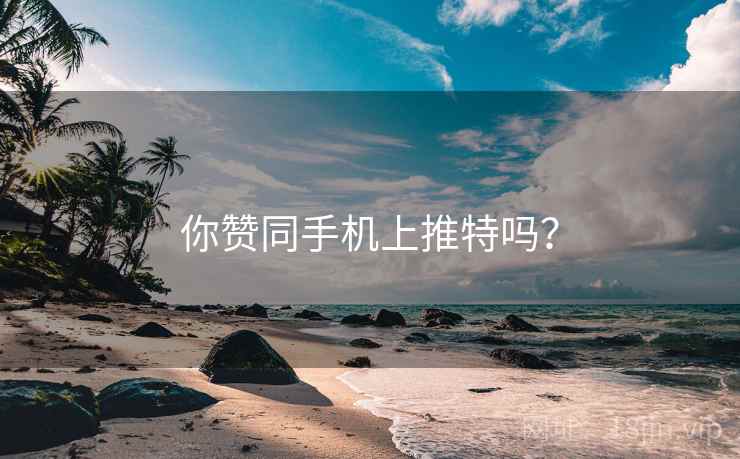 你赞同手机上推特吗？